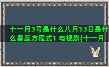 十一月3号是什么八月13日是什么星座方程式1 电视剧(十一月三十号是什么日子)